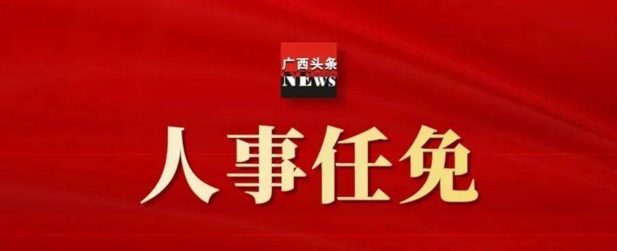 广西领导职务调整，曹兵等领导任免动态更新