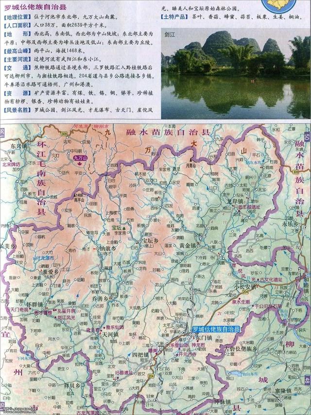 河池市最新地图全面解析