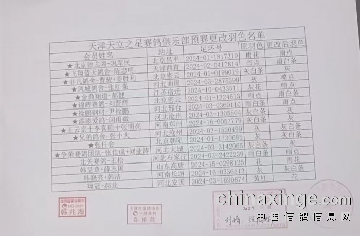 健伪天元公棚最新公告详解解析