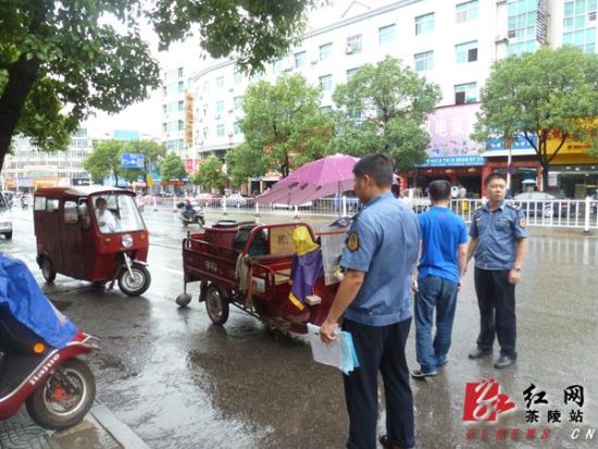 山东德州陵县车祸事件深度剖析