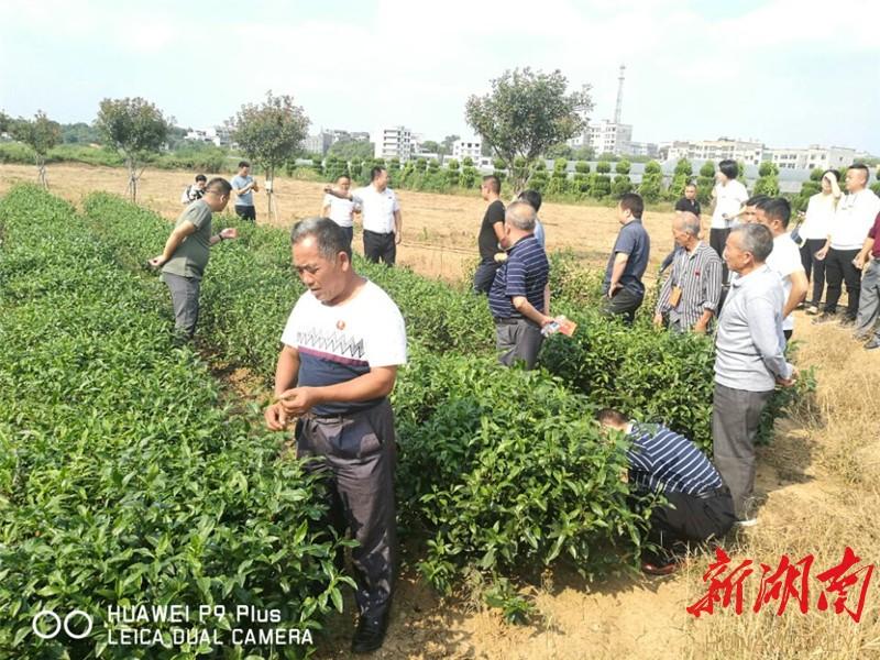 湘潭大学最新发展概览