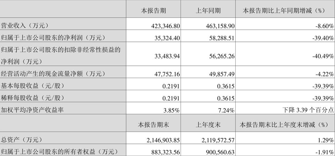 2024年11月16日 第13页