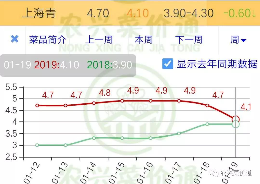 万邦疏菜批发最新价格一览