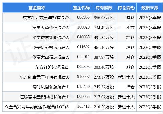 东方红沪港深最新净值解析