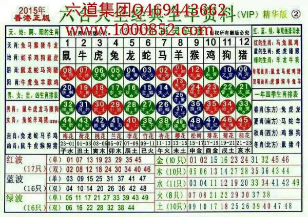 2024十二生肖49码表,揭示新一年的运势走向