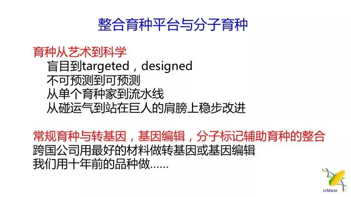 新澳精准资料免费提供305,导致资源浪费和市场机会的丧失