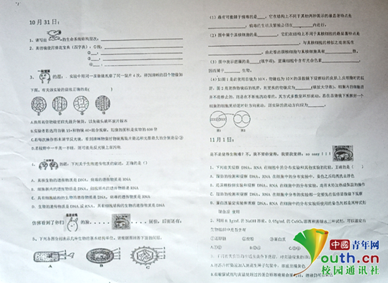 澳门正版资料大全免费歇后语,教师可以通过歇后语来激发学生的学习兴趣