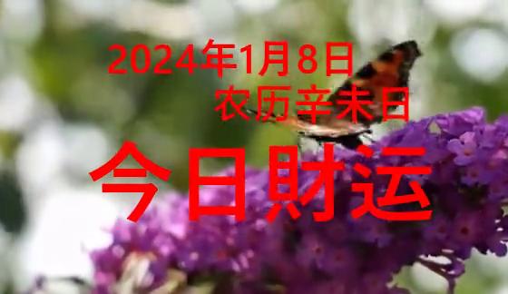 2024十二生肖49码表,这一年属牛的人在团队合作中可能会取得显著成果