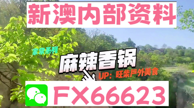 2024新澳精准正版资料,新澳精准正版资料将为我们提供更加深入、全面的数据支持