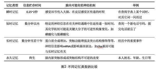 新奥天天免费资料单双,这种模式有助于知识的普及和传播