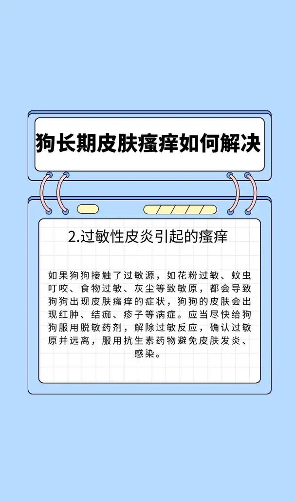 爱康科技即将被借壳,狗狗身痒_重点版v3.1.77