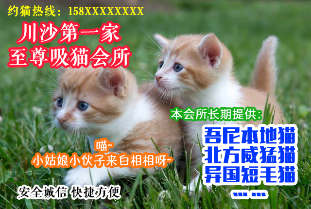 新澳门六开奖结果直播,治疗猫咪黑下巴,_钻石版3.130