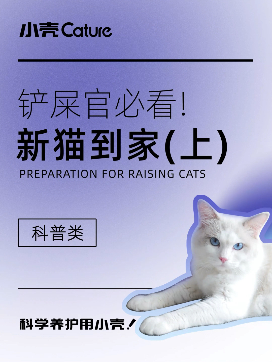 7777888888精准新管家,小猫咪可以吃猪肉吗,_免费版v2.6.116