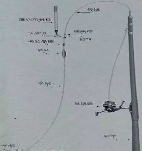 澳门精准一肖一码一一中,路亚钓鲈鱼钓组图解_重点版v3.1.199