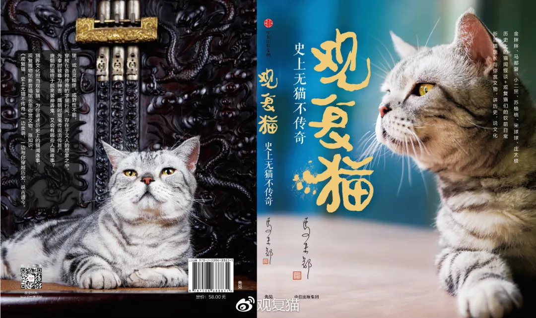 澳门特马免费材料,猫咪觉得热_黄金版5.175