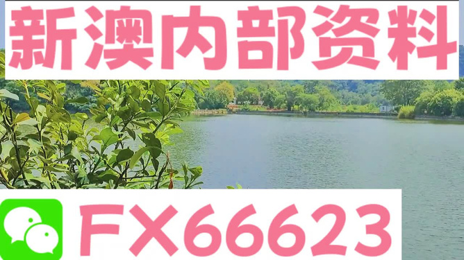 新澳精准资料免费提供网站,水乡鱼竿_重点版v3.1.177