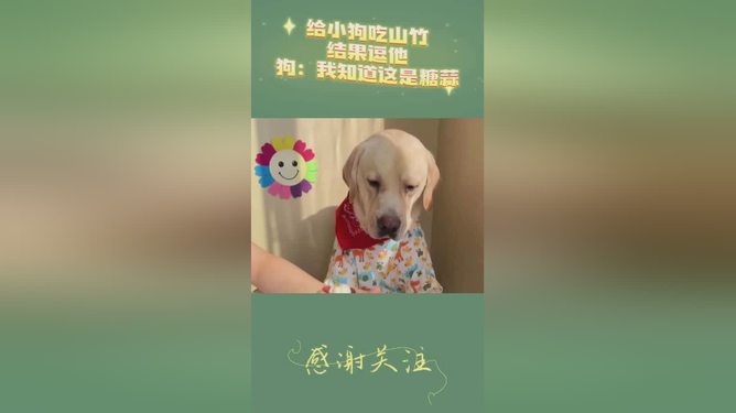 7777788888精准马会传真图,狗狗可以吃山竹吗_重点版v3.1.58