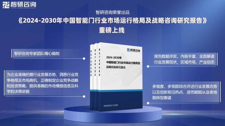 新澳2024年精准正版资料,数据驱动决策执行_set38.382