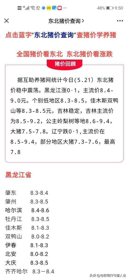 上海工资上涨最新动态，深度解读与分析（2017年）