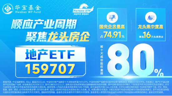 看香港精准资料免费公开,实地考察数据解析_领航款23.999