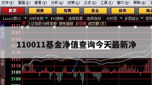 今日最新净值揭秘，深度解析110031基金净值变化