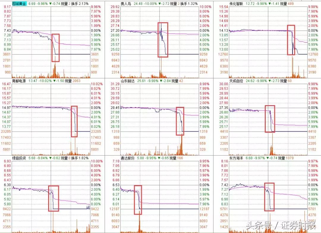 安奈儿股票最新动态全面解析