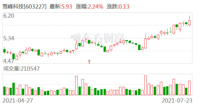 雪峰科技股票最新消息深度解读与分析