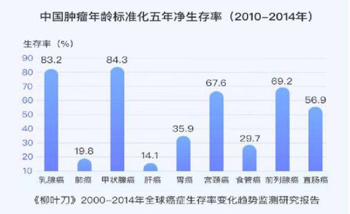 2024澳门跑狗,收益分析说明_V版52.97