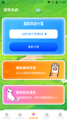 宠物猫APP，连接人与猫的爱之桥