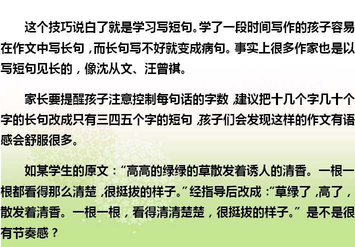 大自然的魅力与和谐，自然之美的探索