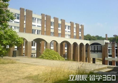 布鲁内尔大学专业深度探究