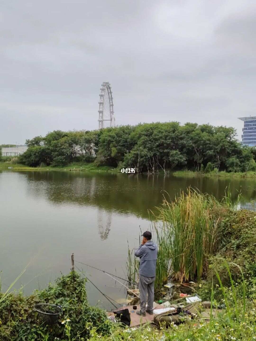 深圳路亚塘，城市绿洲与钓鱼胜地的和谐融合