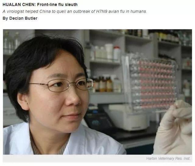 H7N9最新动态，概述与影响分析