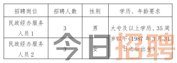 铜川市最新招聘动态及其社会影响分析