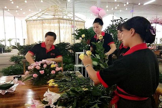 食品厂招募女工，重塑行业未来力量的关键行动