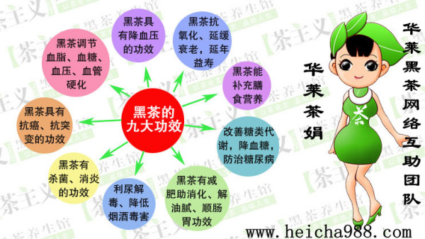 华莱最新奖金制度，重塑行业格局的激励策略引领变革之路