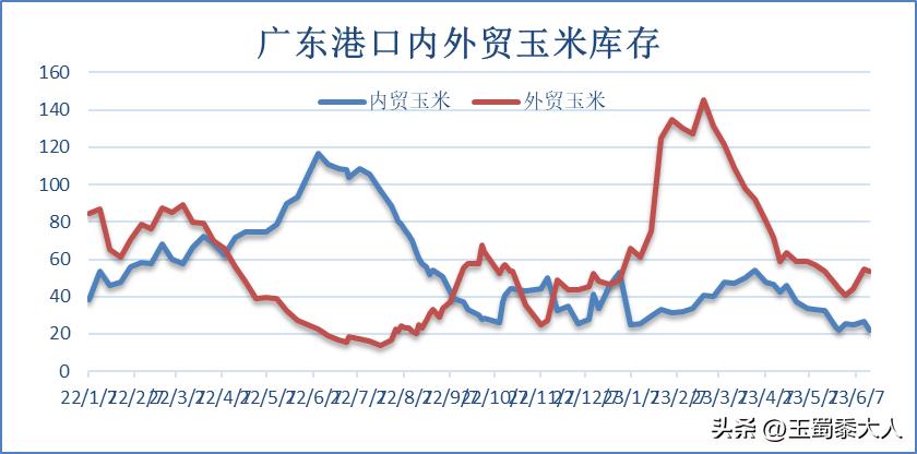 美国玉米最新价格动态解析