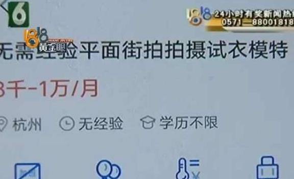 小林公司最新招聘信息全面解析