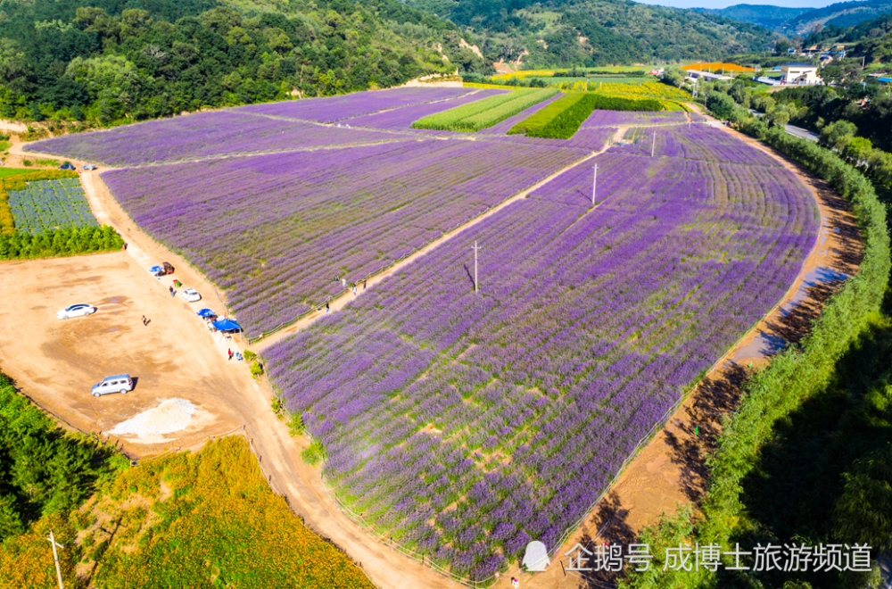 延安新城，城市建设的蓬勃发展与社会进步的最新见证