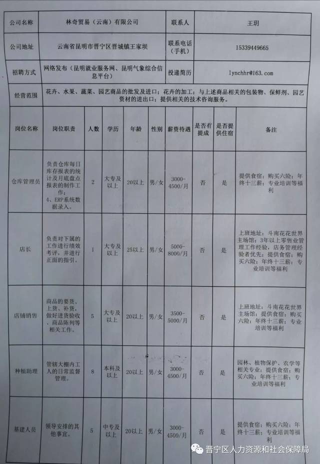 新平县最新招聘动态及其社会影响概览