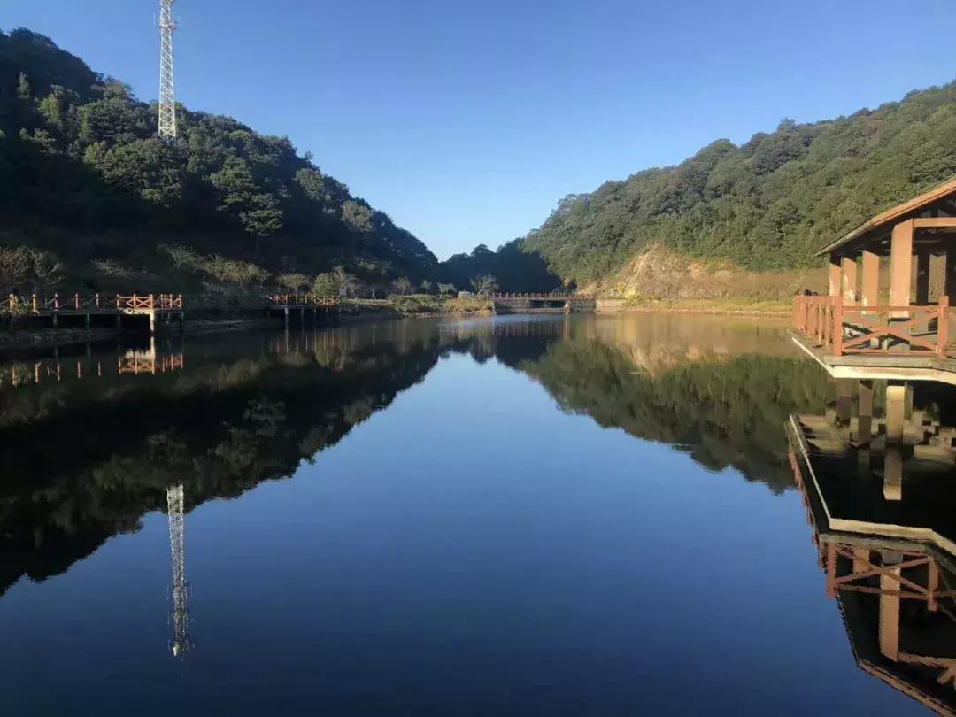 流溪河最新污染状况报告揭秘，水质恶化与治理挑战分析