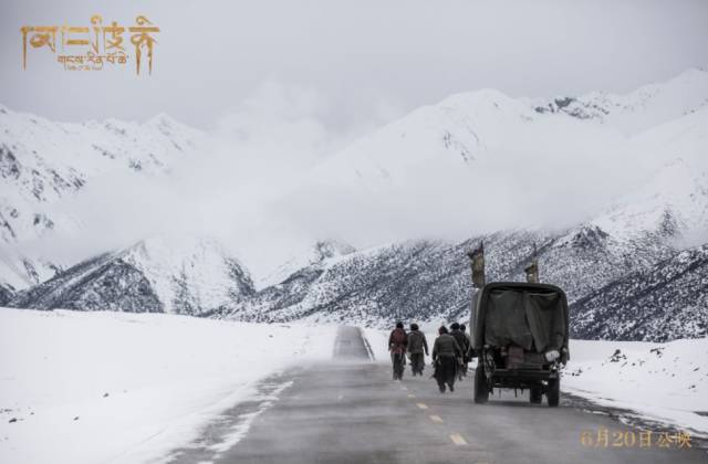 光影世界的探索之旅，最新电影朝圣之旅