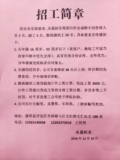 聊城莘县最新招聘动态与人才市场分析概览