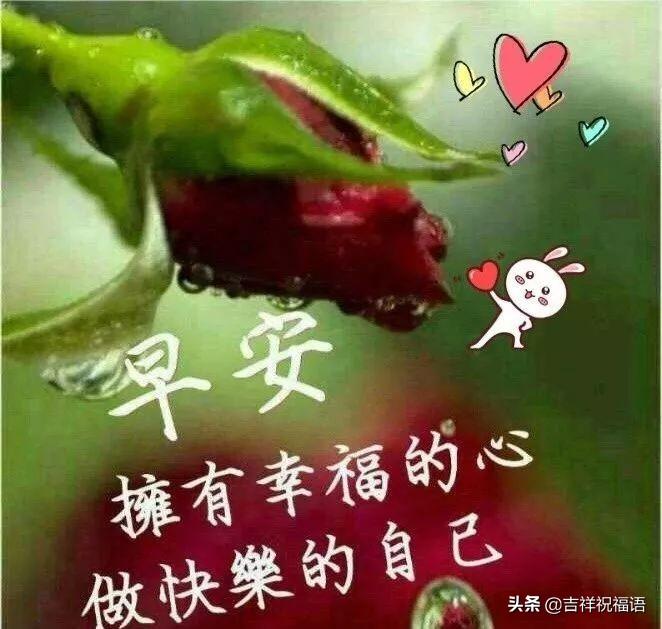 最新经典祝福短信，传递温暖与喜悦的力量